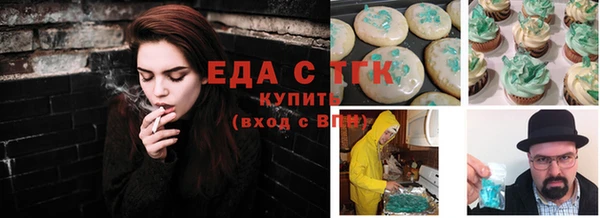 индика Козельск