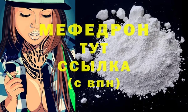 индика Козельск