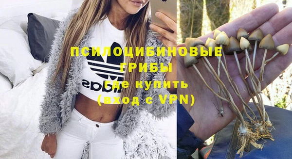 мескалин Козловка