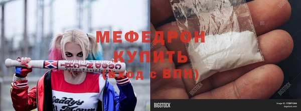 индика Козельск
