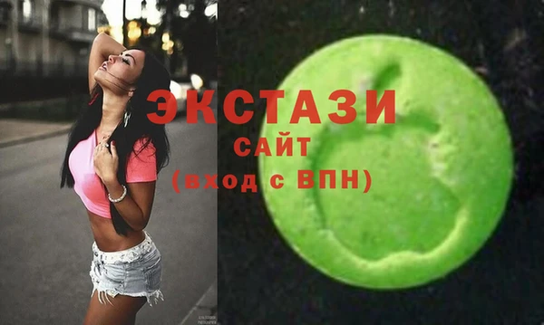 индика Козельск