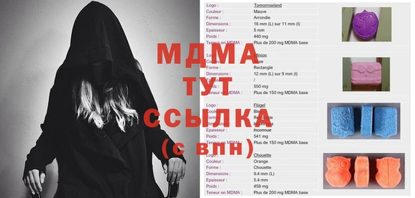 индика Козельск