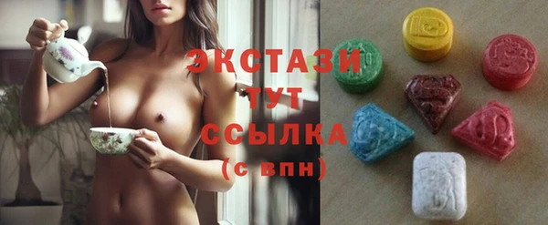 индика Козельск