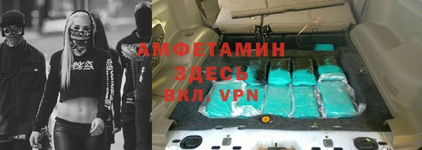 индика Козельск