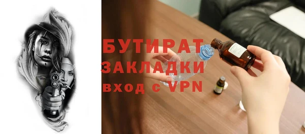 индика Козельск