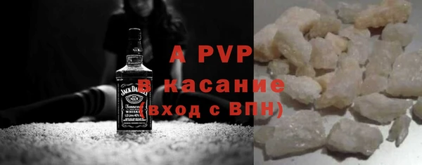 индика Козельск