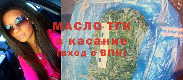 индика Козельск