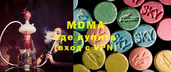 индика Козельск
