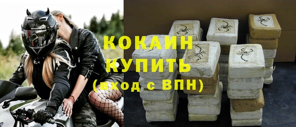 индика Козельск