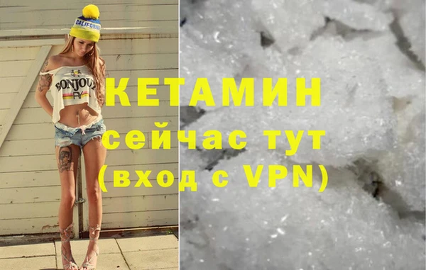 индика Козельск